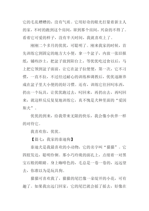 小动物泰迪作文.docx