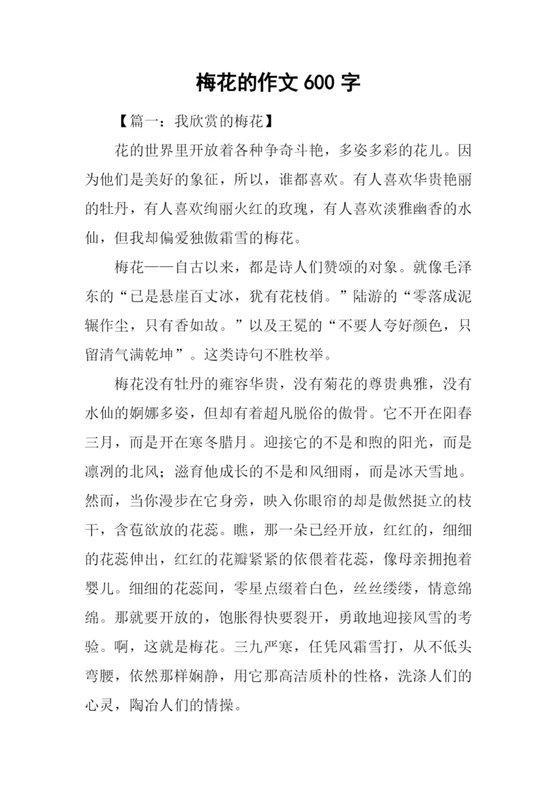 梅花的作文600字.docx