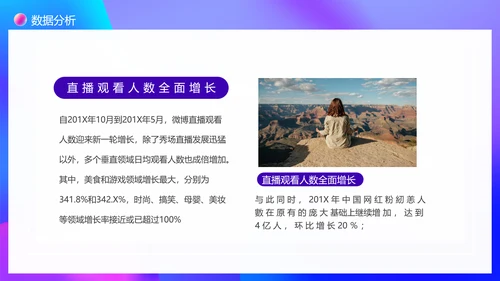 大数据时代下网红现象调查PPT模板