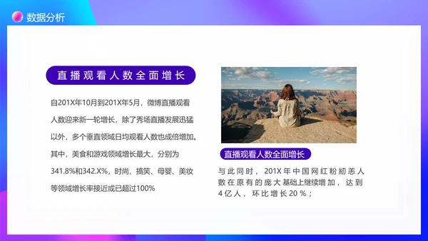 大数据时代下网红现象调查PPT模板
