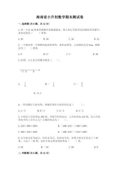 海南省小升初数学期末测试卷及完整答案1套.docx