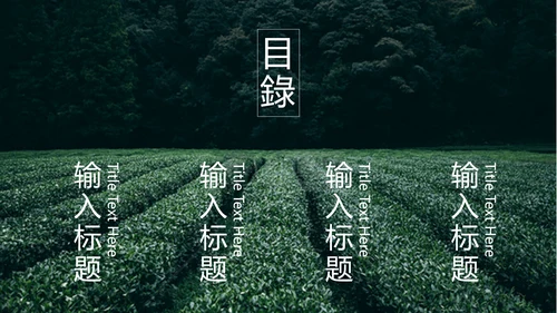 绿茶中国风茶道茶文化绿茶茶味通用PPT模板