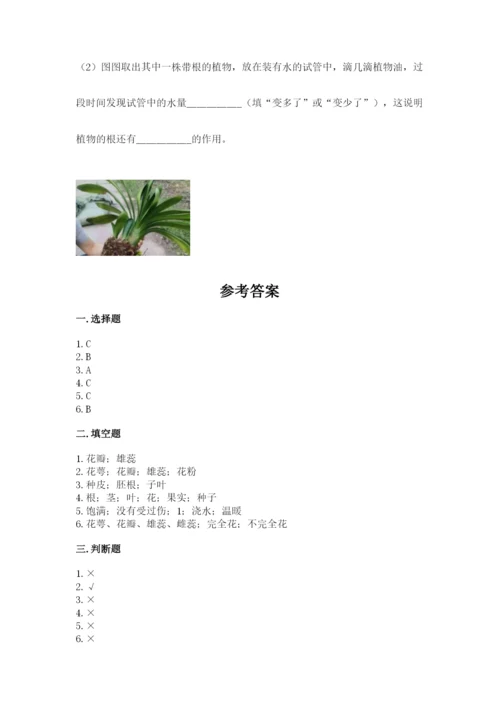 教科版四年级下册科学第一单元《植物的生长变化》测试卷（能力提升）.docx