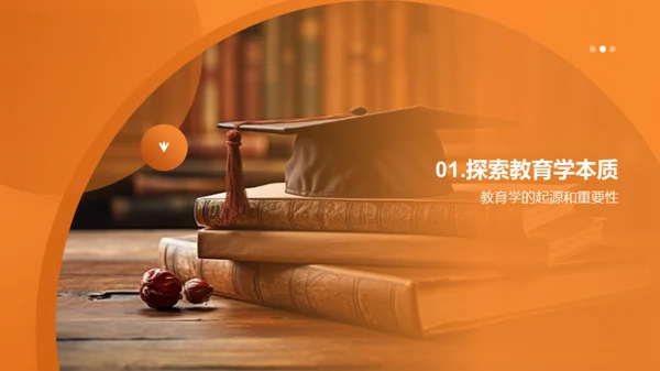 教育学与大学教改