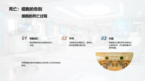 探索细胞之谜
