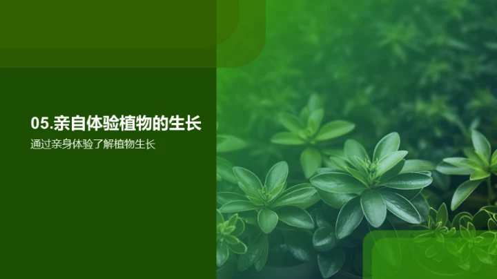 探索植物的奥秘