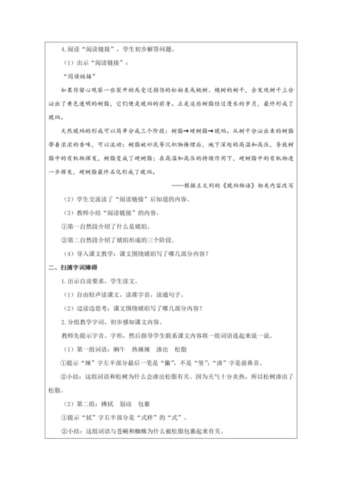5 琥珀第1课时 教案