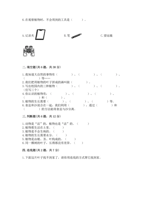 教科版科学一年级上册第一单元《植物》测试卷（全优）.docx