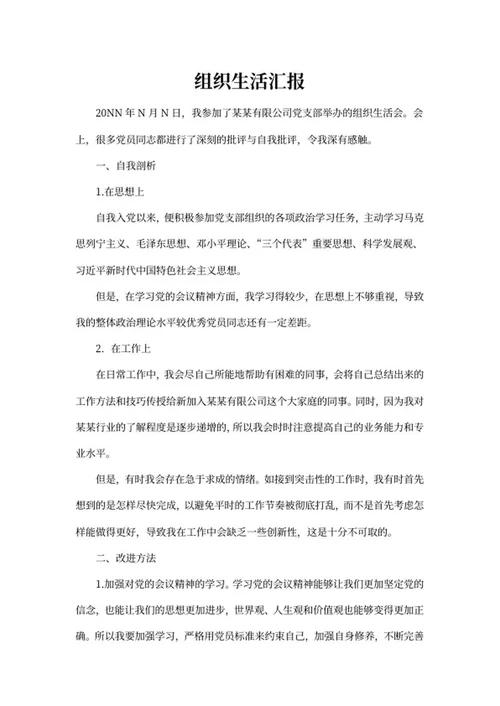 公司党支部党员生活汇报word模板