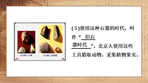 初中历史《人类起源》教学通用PPT课件