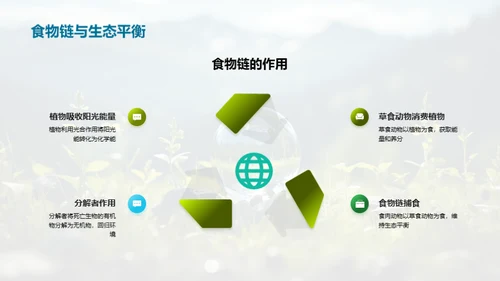 探秘生态环境