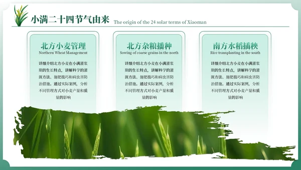 小满中国风教育教学通用模板PPT模板