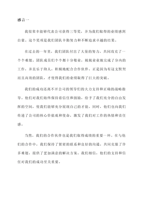 公司业绩获奖三等奖的感言