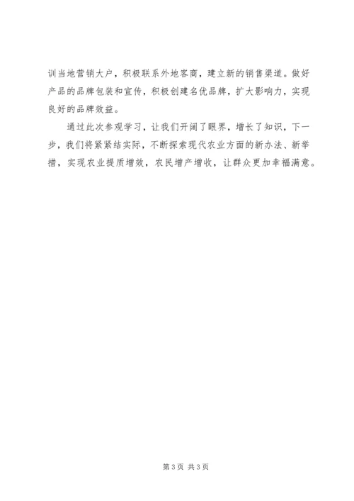 学习市区现代农业的心得体会.docx