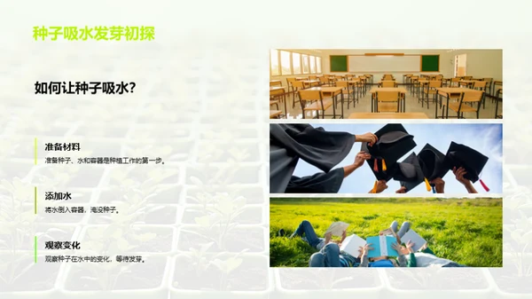 植物的奥秘世界