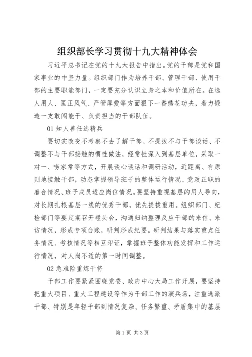 组织部长学习贯彻十九大精神体会.docx