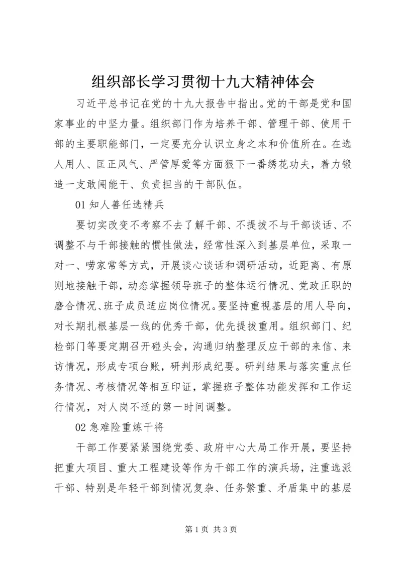 组织部长学习贯彻十九大精神体会.docx