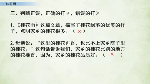 3 桂花雨     课件