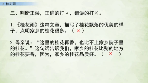 3 桂花雨     课件