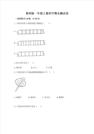 教科版一年级上册科学期末测试卷及参考答案夺分金卷