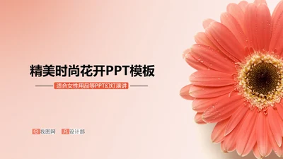 精美时尚鲜橙色花开ppt动态模板