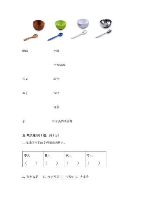 教科版科学二年级上册《期末测试卷》含完整答案（历年真题）.docx