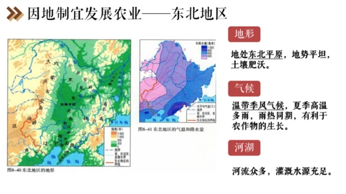 6.4 发展的选择 课件（25张PPT）