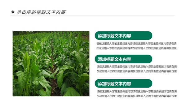 中国人寿保险公司年中工作总结工作计划PPT