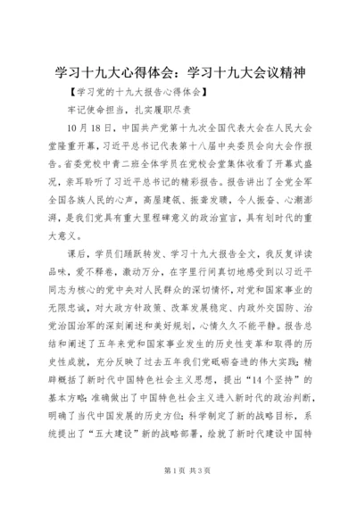 学习十九大心得体会：学习十九大会议精神 (2).docx