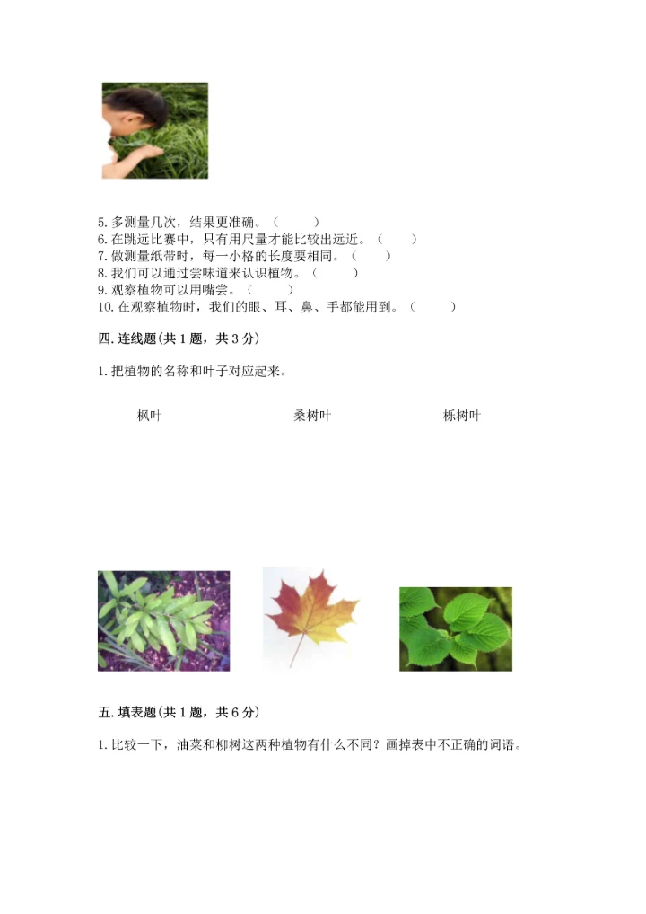 教科版科学一年级上册期末测试卷精品（必刷）.docx