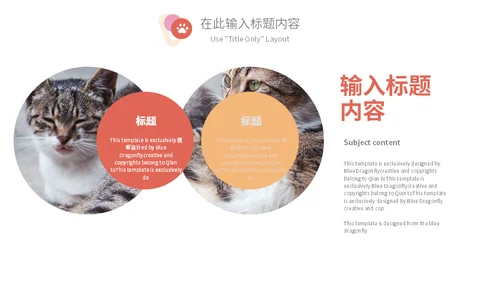 宠物乐园萌宠猫咪主题通用PPT模板