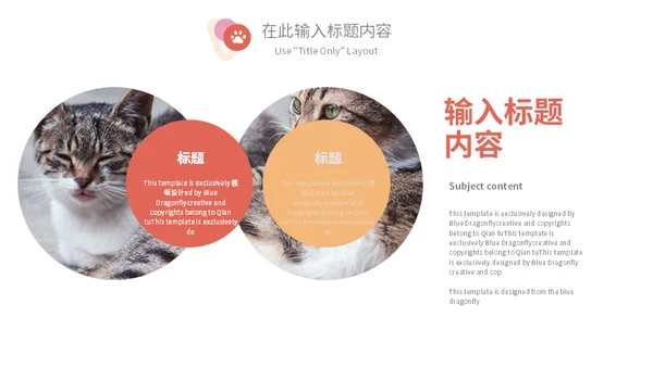 宠物乐园萌宠猫咪主题通用PPT模板