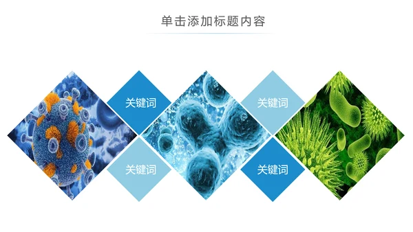 蓝色大气医学护理医疗医药动态ppt模板