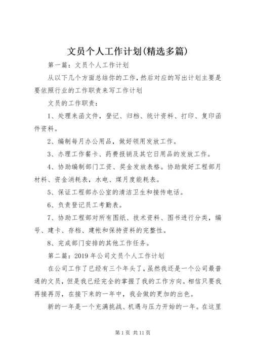 文员个人工作计划(精选多篇).docx