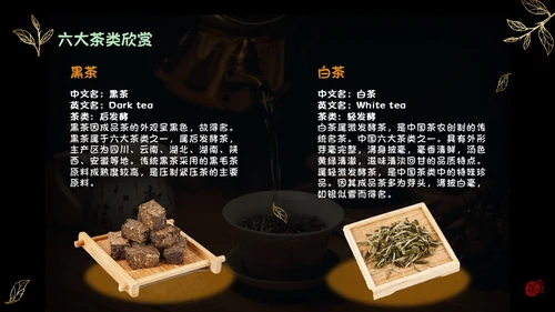 黑色实拍风简约商务风少儿茶艺培训课件PPT模板员工培训