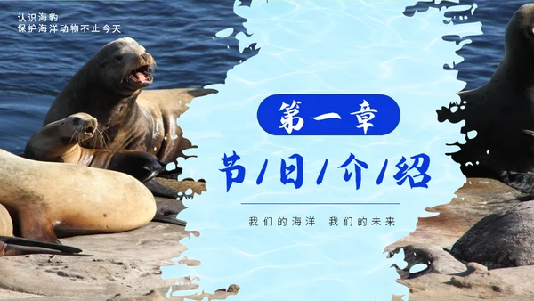 国际海豹日海狮海象通用PPT模板