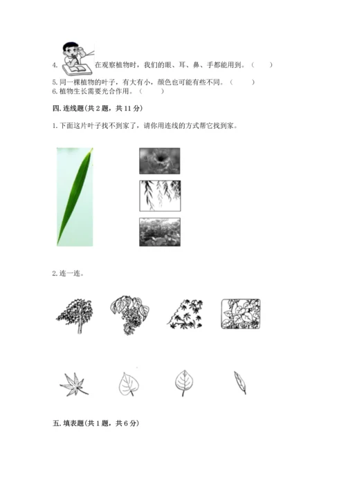 教科版科学一年级上册第一单元《植物》测试卷【实验班】.docx