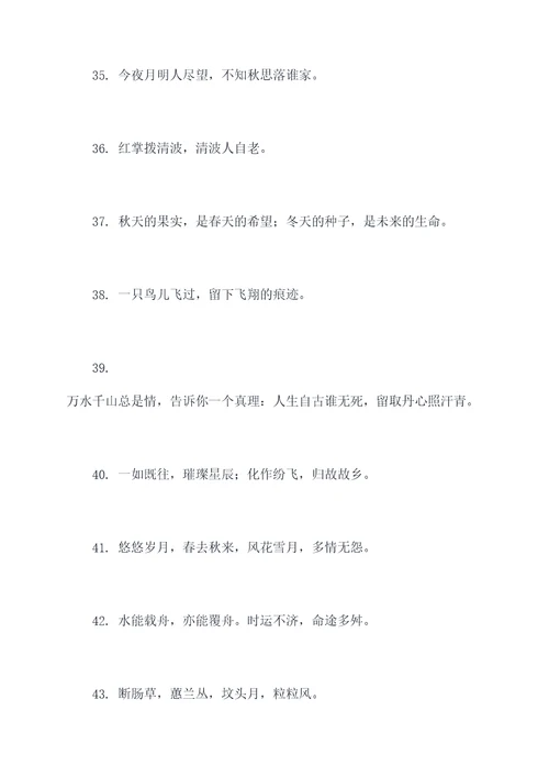 上坟用火标语