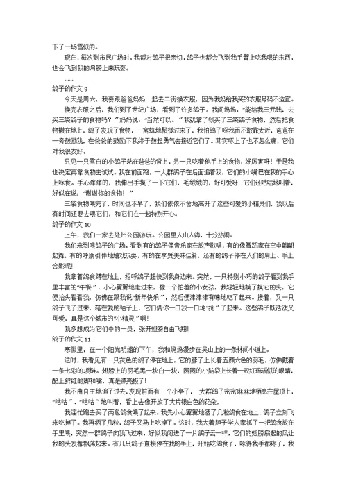 【推荐】鸽子的作文