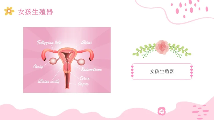 小学生性教育插画主题班会PPT课件