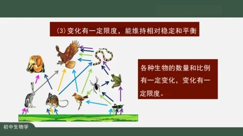 1.2.2 生物与环境组成生态系统 课件（共25张PPT）