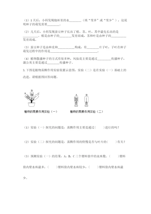 教科版科学四年级下册第一单元《植物的生长变化》测试卷及答案参考.docx