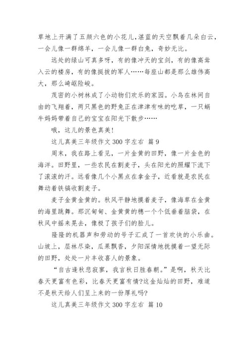 这儿真美三年级作文300字左右（精选13篇）.docx
