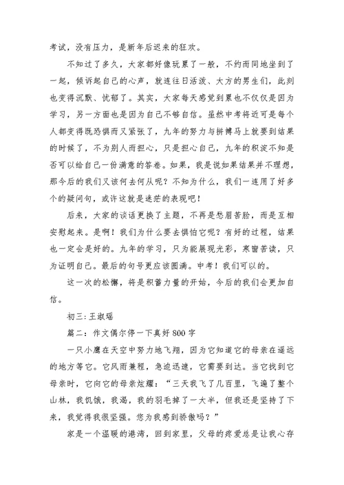 偶尔停一下真好初中记叙文800字-作文(共5页)
