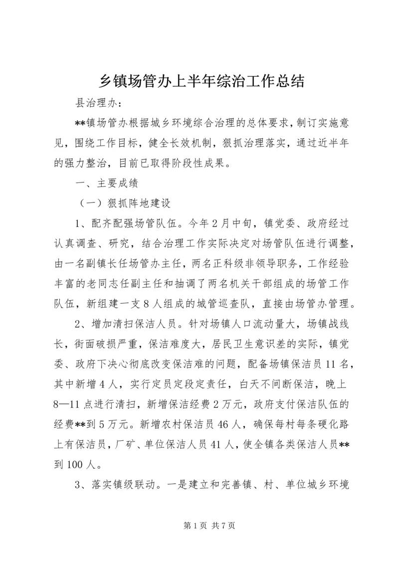 乡镇场管办上半年综治工作总结.docx
