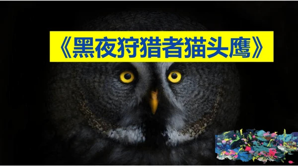 《黑夜狩猎者猫头鹰》