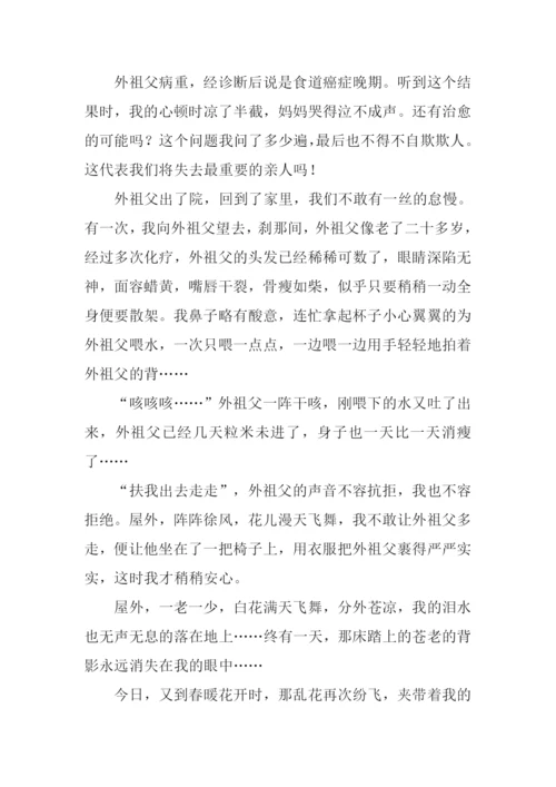 又到春暖花开时作文.docx