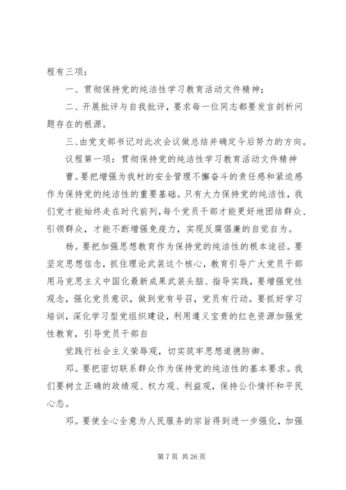 保持党的纯洁性民主生活会会议记录.docx