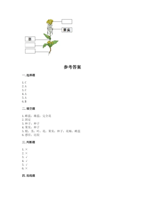科学四年级下册第一单元《植物的生长变化》测试卷附完整答案（各地真题）.docx