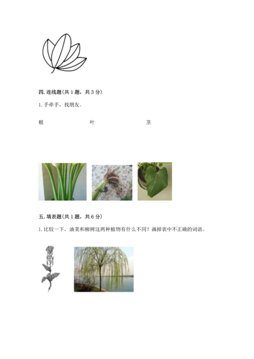 教科版一年级上册科学期末测试卷精品【典型题】.docx